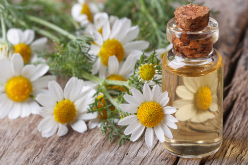 fragrant oil of chamomile flowers in a glass bottle macro on wooden table horizontal