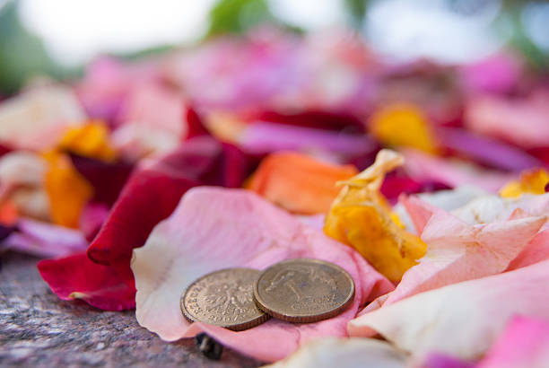 Polish Wedding with coins in focus, rose and flower petals out of focus. Bright coloured flowers thrown as confetti for the happy couple.