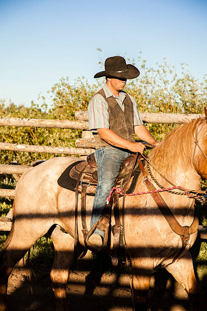 istock Cowboy on horse in corral. Working Montana ranch. 507269095