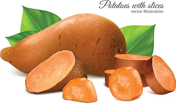 Vector illustration of Sweet potato with slices and leaves