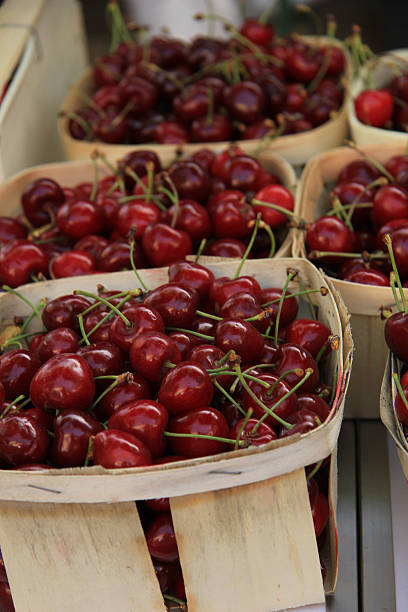 istock Cherries at a French market 507269561