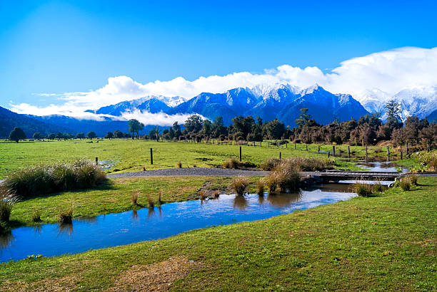 istock New Zealand 507269977