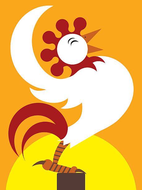 Sunrise Rooster Happy cartoon rooster crowing as the sun rises rooster open wings stock illustrations
