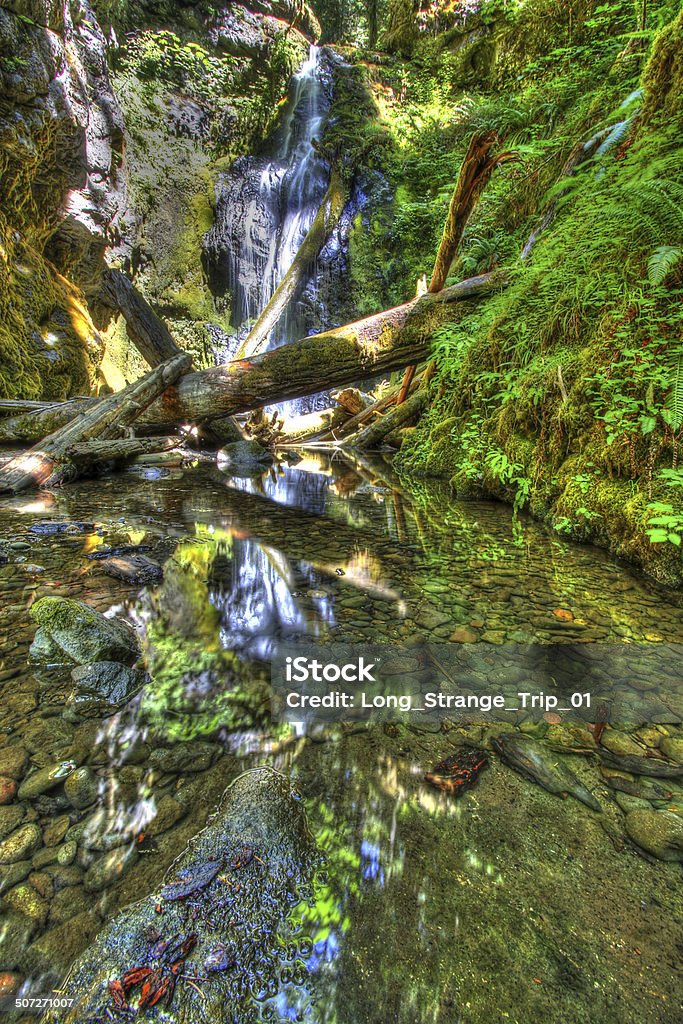 架台クリーク滝レーン郡オレゴンレインフォレスト垂直 Hdr まぶしいのストックフォトや画像を多数ご用意 まぶしい, アンプクア国定森林