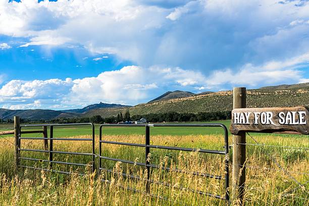 istock Hay For Sale 507271687