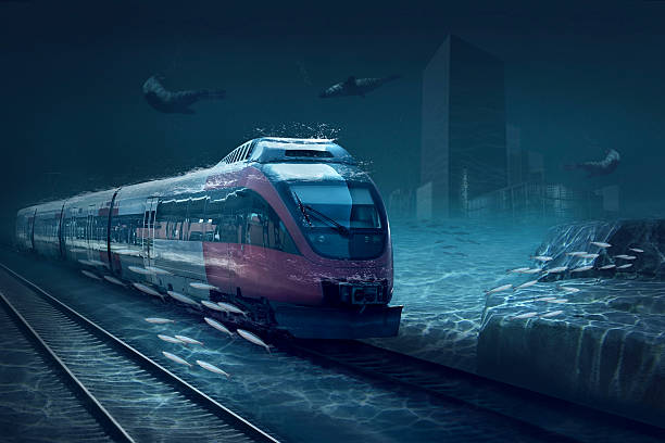 istock Motions train in underwater ocean life 507273783