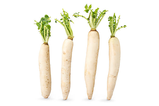 Fresh daikon radishes Fresh organic daikon radishes isolated on white background dikon radish stock pictures, royalty-free photos & images