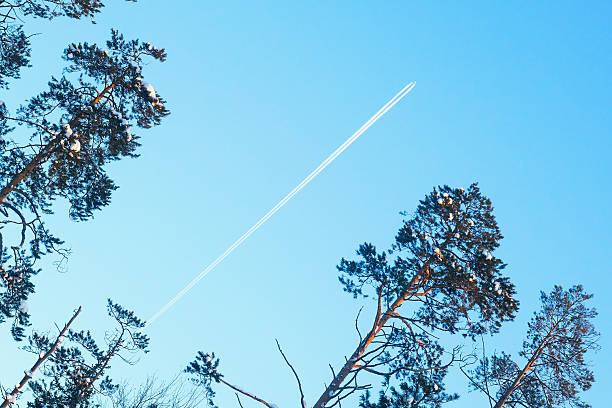 istock plane flying high in the sky over winter forest. 507274266