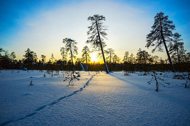 260+ Fotos, Bilder und lizenzfreie Bilder zu Autonomer Kreis Der