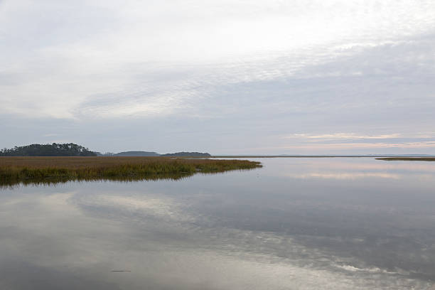istock Georgia Coast / Lowcountry 507275976