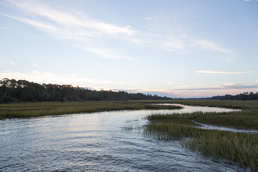 A scenic photo of Georgia's lowcountry, where marsh meets the Atlantic Ocean.  Taken just after sunrise this picture shows a serpentine tributary of water with marsh grass coming in from both sides and distant trees on one side.  The water is a mix of salt and fresh water known as brackish.  Photography on Jekyll Island