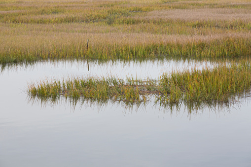 A scenic photo of Georgia's lowcountry,  where marsh meets the Atlantic Ocean.  Taken just after sunrise this picture shows glasslike water with marsh grass reflecting in it.  The water is a mix of salt and fresh water known as brackish.