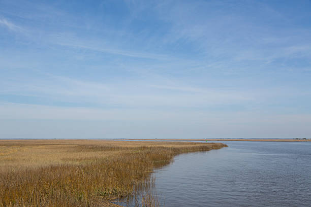 istock Georgia Coast / Lowcountry 507277880
