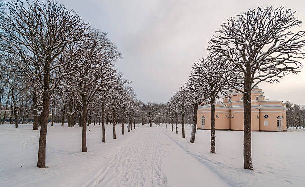 istock Alley in winter park 507278216