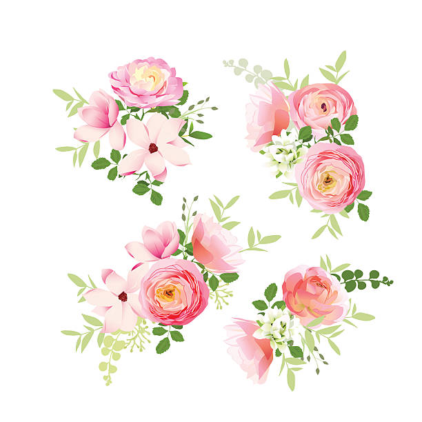 illustrazioni stock, clip art, cartoni animati e icone di tendenza di bouquet da sposa di rose, magnolia, ranuncolo vettoriale elementi di progettazione - spring magnolia flower sky