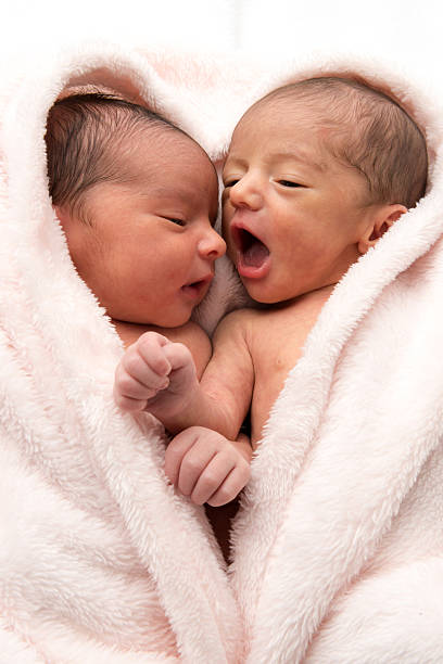 новорожденных младенцев - twin baby newborn baby girls стоковые фото и изображения