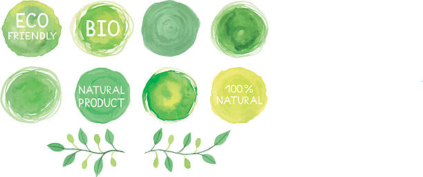 zestaw akwarela zielone logo z liter, tekst słowa, branc - tree symbol watercolour paints watercolor painting stock illustrations