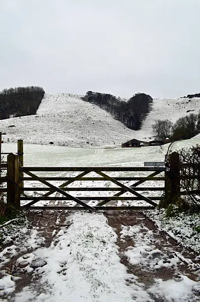 Snow settles on the Sussex Southdowns in England with the trees which were planted for Queen Victoria's Jubilee in 1887 clearly visible. Image taken early January 2016 near Plumpton collage.
