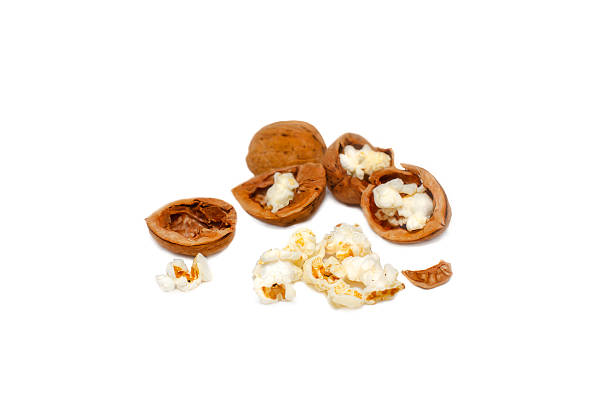 クルミ、ポップコーン - walnut pod nutshell cross section ストックフォトと画像
