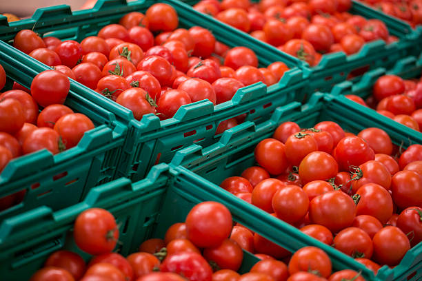 A vibrant display of assorted heirloom tomatoes, including red, yellow datterino, and green varieties, sold in plastic containers at a fresh produce stall in the Rialto Market in Venice.