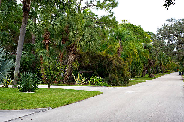 istock qualis walk lush tropical street 507298652