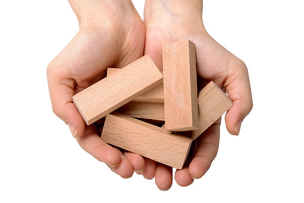 istock Wood Blocks In Palm Of Hands 507299782