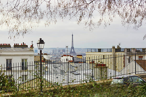 istock Scenic view of Parisian roofs and Eiffel tower 507300324