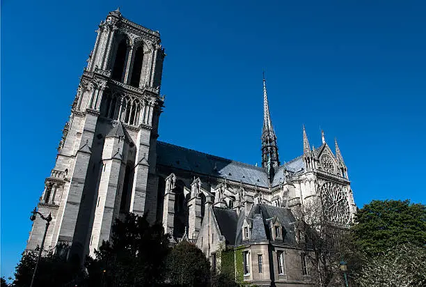 PARIS - April 17, 2015: The view on the famous french landmark Notre Dame de Paris through the winter park on April 17, 2015 in Paris.