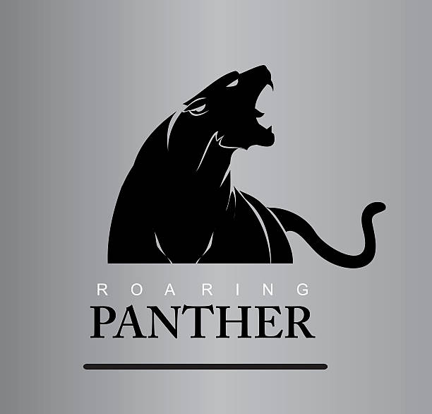 Fearless Panther Fearless Panther. Roaring Predator. Roaring Panther. Panther head, elegant panther head. Panther half body. Roaring fang face, combine with text big cat stock illustrations