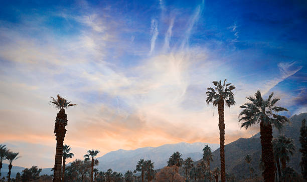 istock Palm Springs, California, USA 507301502