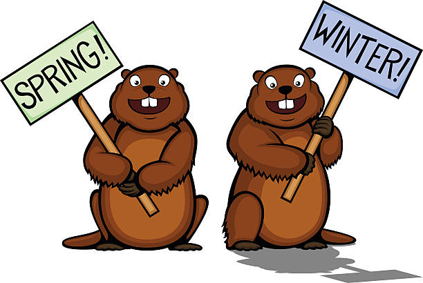 Groundhog Day Vector illustration of two cartoon groundhogs, one seeing his shadow and lobbying for winter, one hoping for spring. Illustration uses no gradients, meshes or blends, only solid color. Both .ai and AI8-compatible .eps formats are included, along with a high-res .jpg, and a high-res .png with transparent background. groundhog stock illustrations