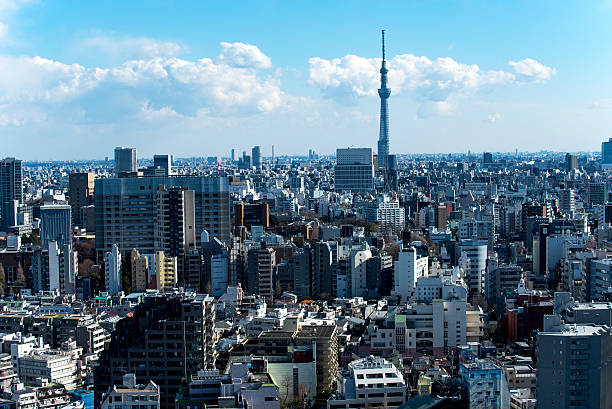 istock Greater Tokyo area dense building cityscap and Tokyo skytree 507302476