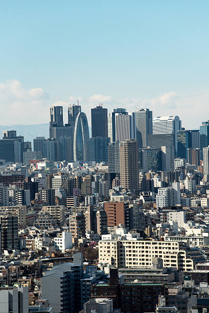 istock Greater Tokyo area dense building cityscape 507302586