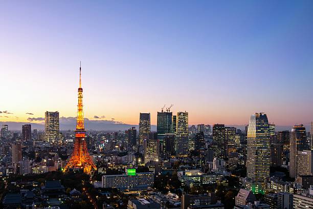 istock Tokyo area dense building nightscape and Tokyo tower 507302932