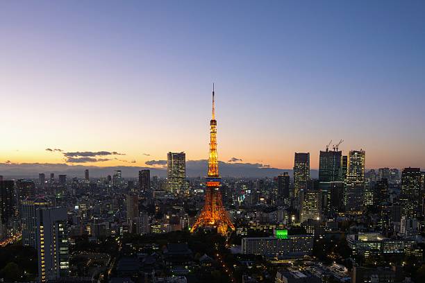 istock Tokyo area dense building nightscape and Tokyo tower 507302936