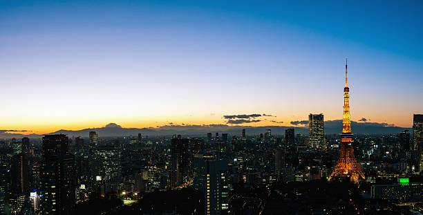 istock Tokyo area dense building nightscape and Tokyo tower 507302948