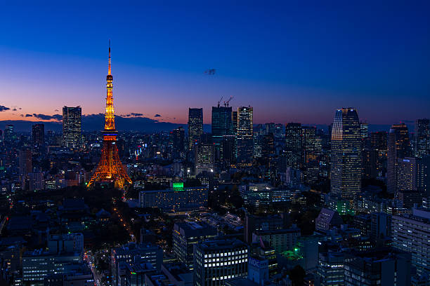 istock Tokyo area dense building nightscape and Tokyo tower 507302968