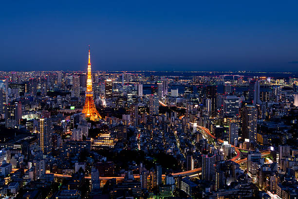 istock Tokyo area dense building nightscape and Tokyo tower 507303292
