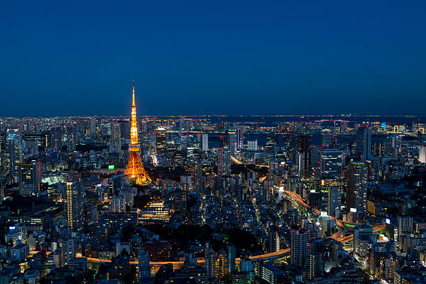 istock Tokyo area dense building nightscape and Tokyo tower 507303306