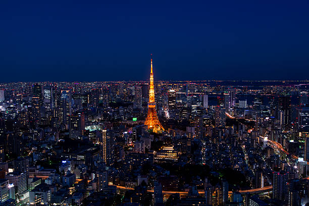 istock Tokyo area dense building nightscape and Tokyo tower 507303352