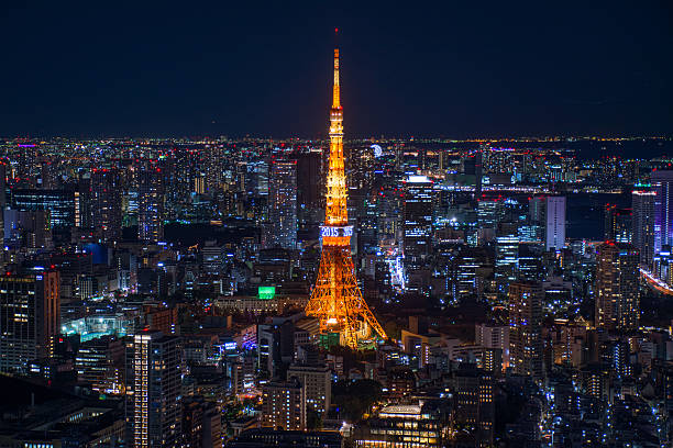 istock Tokyo area dense building nightscape and Tokyo tower 507303530