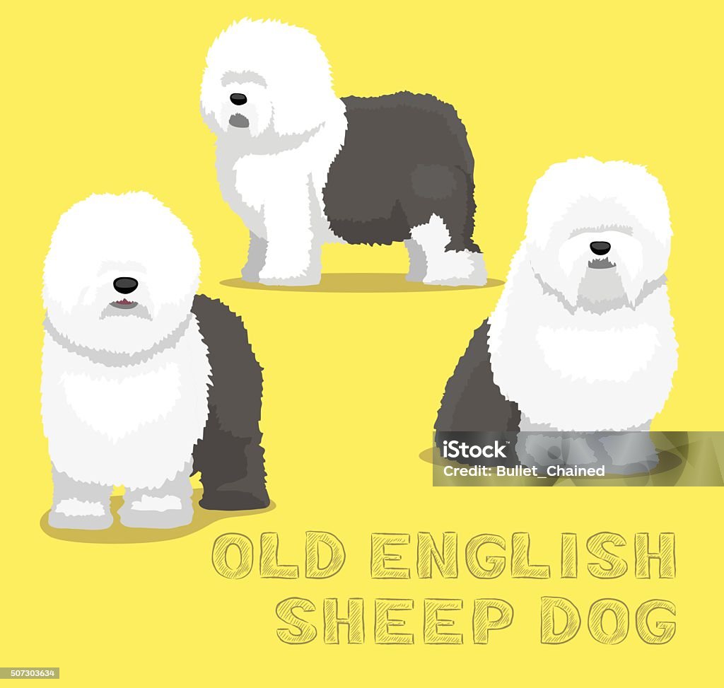 Dog Old English Sheep Dog Cartoon Vector Illustration Stock Illustration -  Download Image Now - iStock