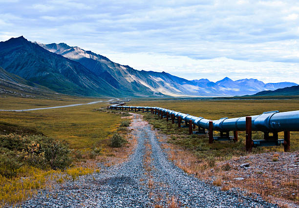 Alaskan oil pipeline in the north slope region of alaska an image of the trans-alaskan oil pipeline that carries oil from the northern part of Alaska all the way to valdez. this shot is right near the arctic national wildlife refuge pipeline photos stock pictures, royalty-free photos & images