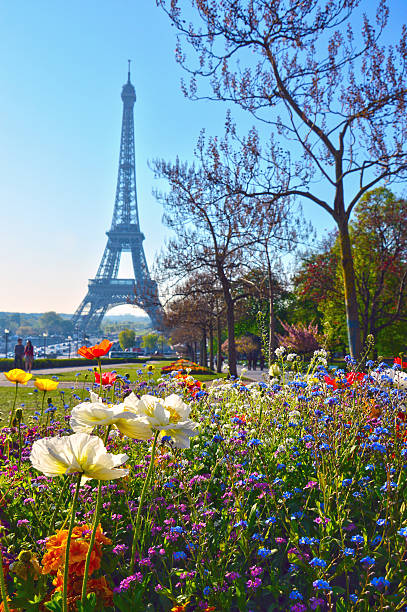 istock Trocadero Park with the Eiffel Tower in the background 507307026