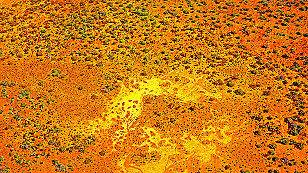 Australian Landscape: Parallels With Indigenous Art Aerial view on a flight over the Gascoyne River Catchment. The landscape shows remarkable similarity with images of Indigenous art. aboriginal art stock pictures, royalty-free photos & images