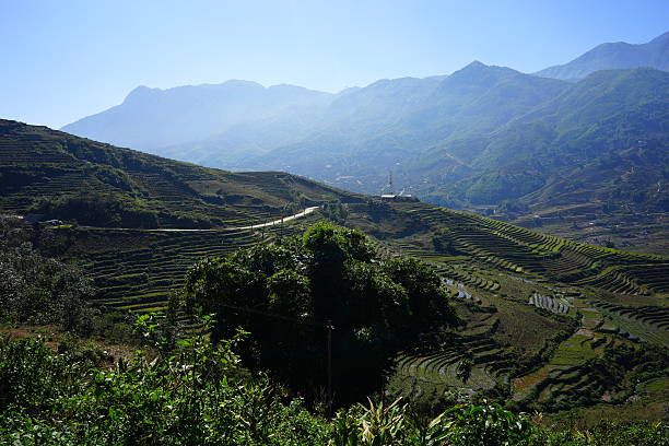 istock Valley of Rice Terrace Fields in Sapa, Vietnam 507308208