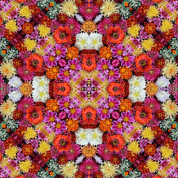istock Flower background. A background from cultivated flowers. 507309484