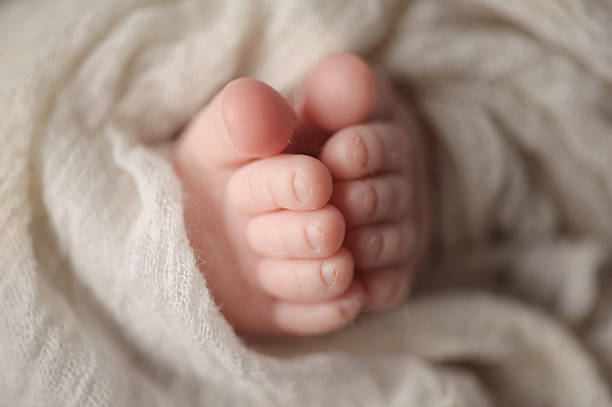 istock Closeup of Newborn Toes 507311149
