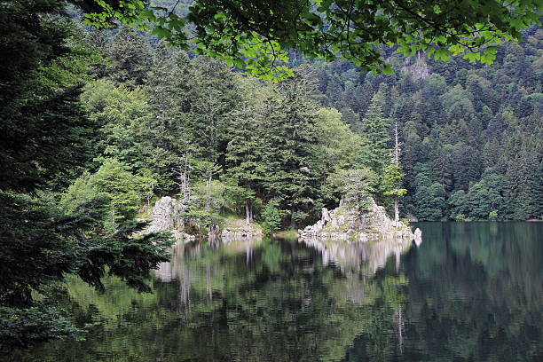 lago di altenweiher in alsazia - ballad foto e immagini stock