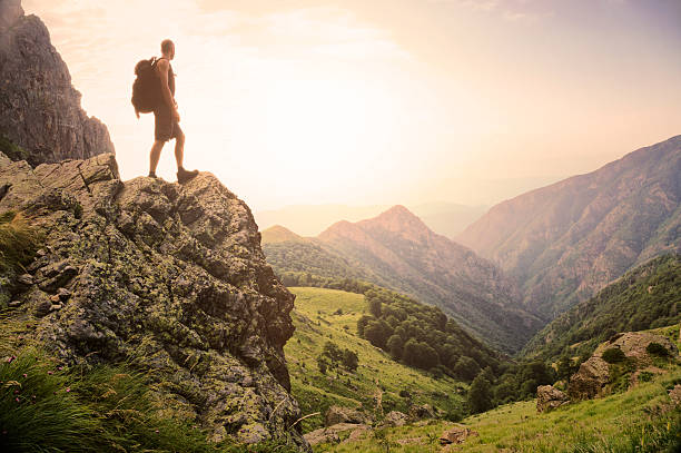 Freedom in the natural world stock photo